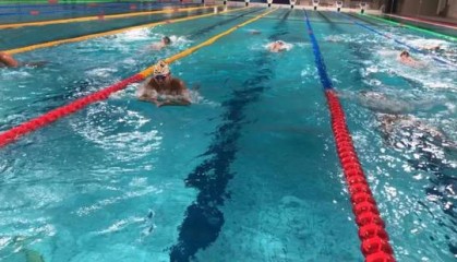  南特主场雨战告捷，湿滑场地成就防守经典